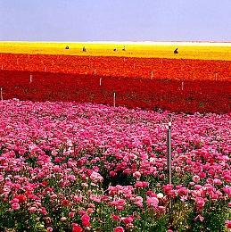 《时空奥德赛》计划开展多轮封闭测试 时空操控玩法首度揭秘